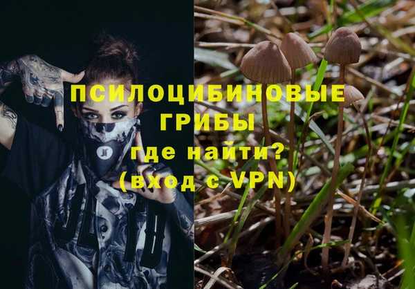 не бодяженный Белокуриха